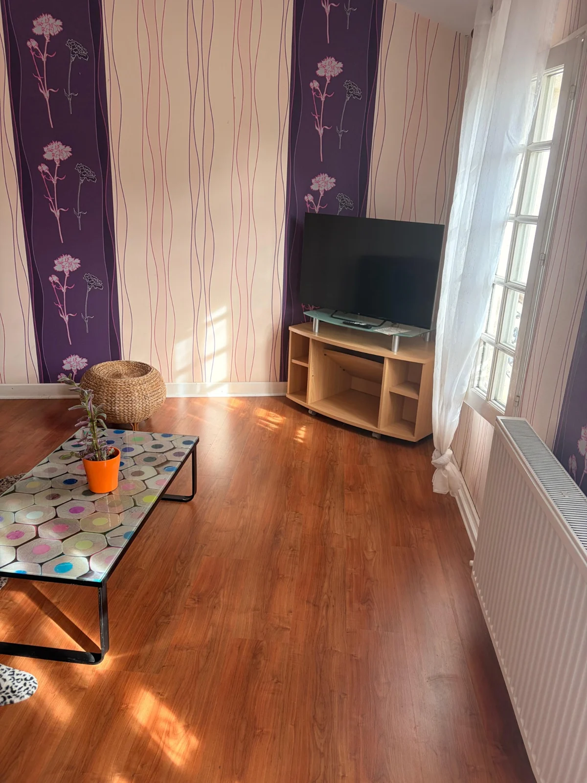 Le salon et son coin télévision